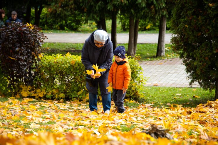 В России предложили выплачивать тринадцатую пенсию к новогодним праздникам В России предложили выплачивать тринадцатую пенсию к новогодним праздникам