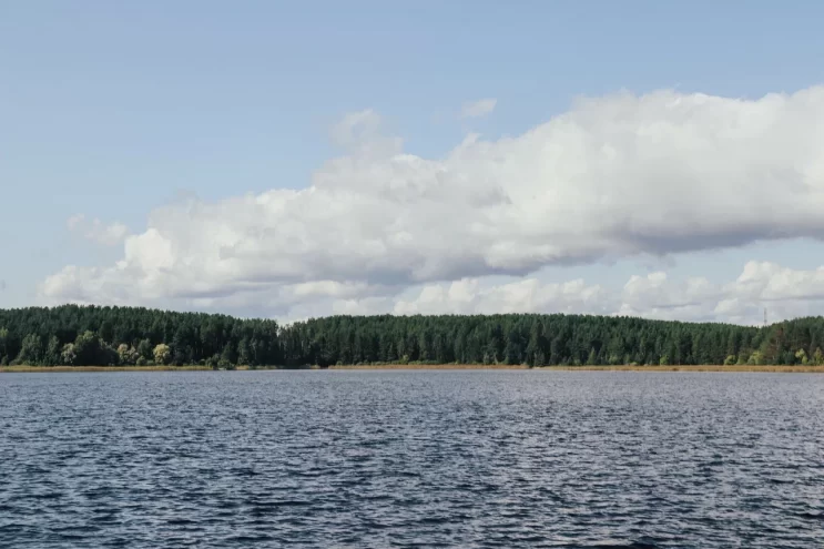 Жители города в Тверской области захотели свой аналог калязинского Васьки Жители города в Тверской области захотели свой аналог калязинского Васьки