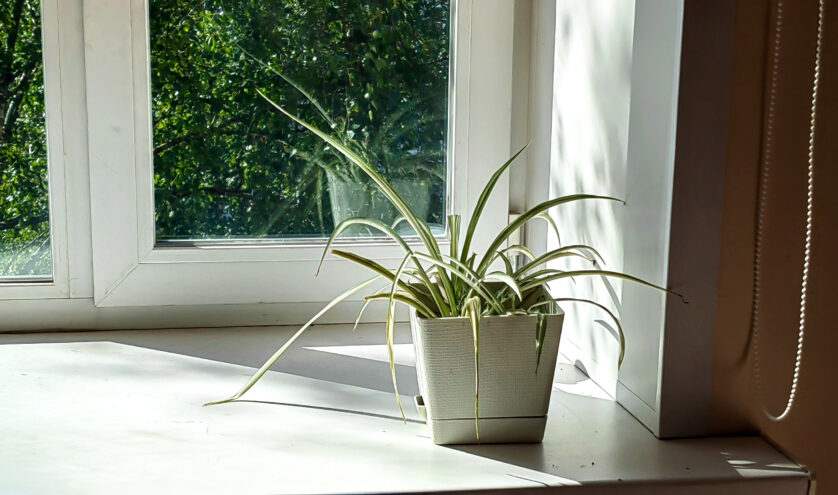 В Тверской области школьники подготовили к приему гостей Дом Патриарха Тихона