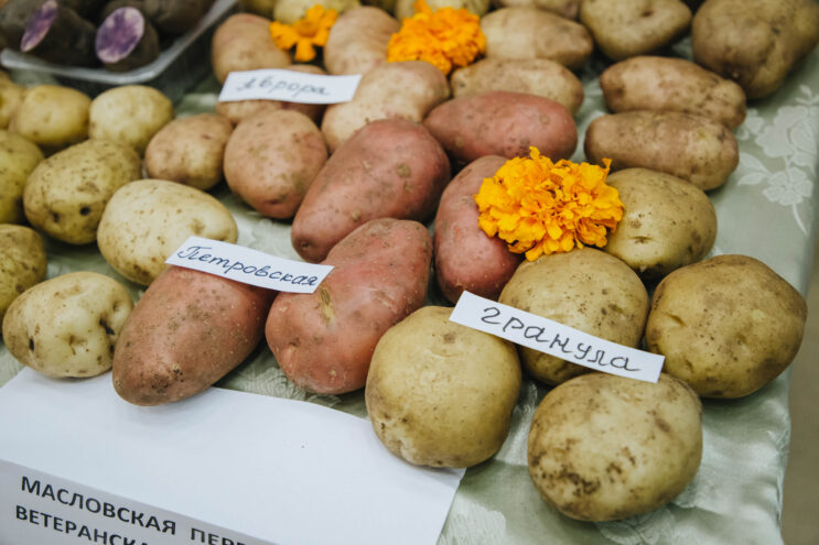 В Лихославльском округе подвели итоги уборочной кампании