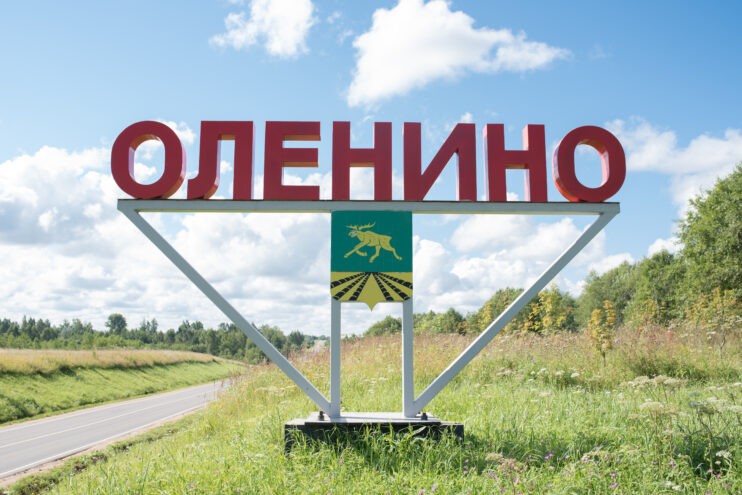 В Оленино прошел торжественный митинг "День белых журавлей"