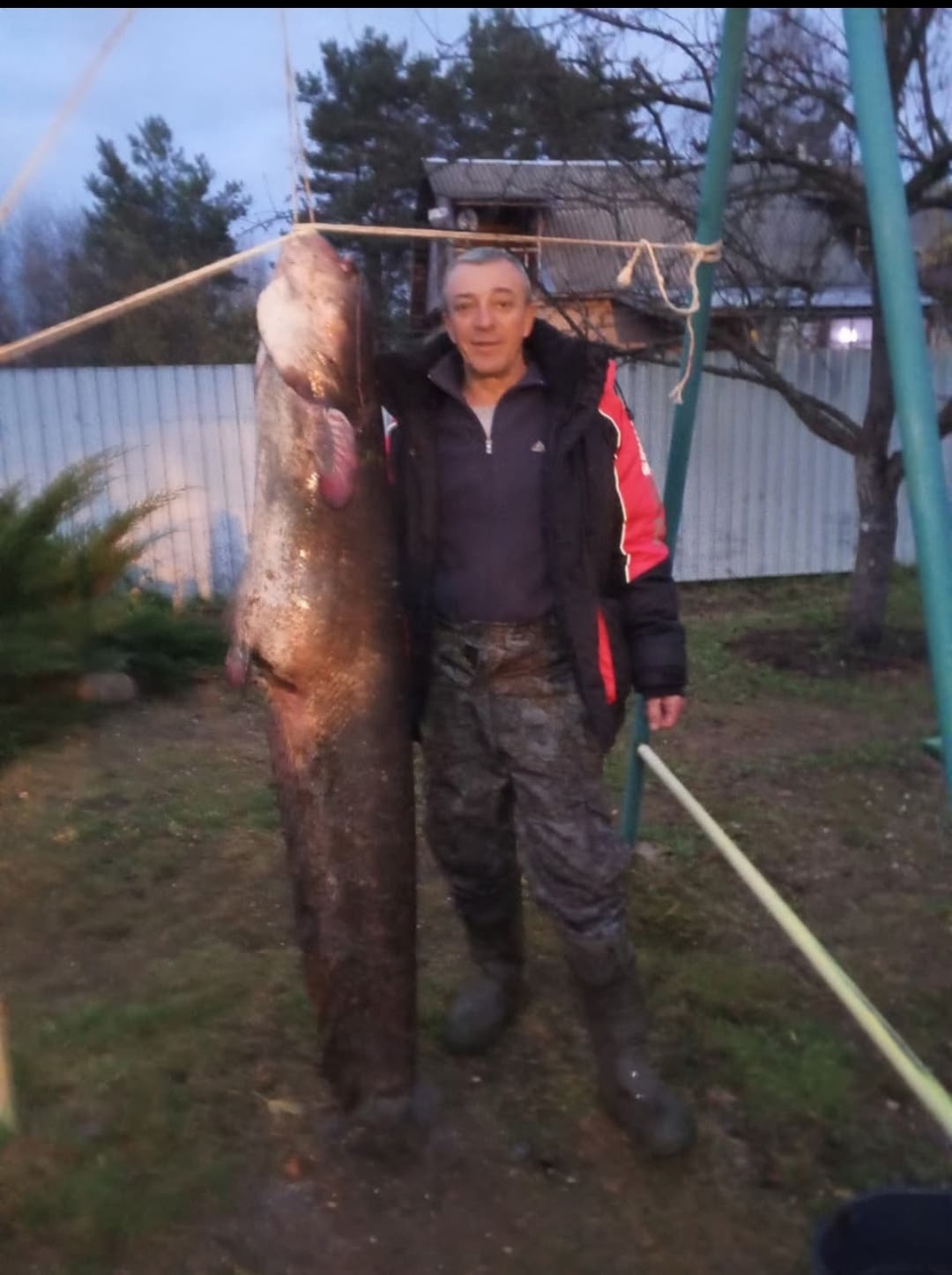 В Тверской области рыбак поймал сома выше себя ростом В Тверской области рыбак поймал сома выше себя ростом