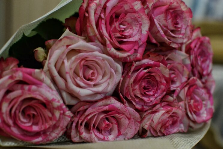 С наградами и уважением: поздравление ветерана от губернатора