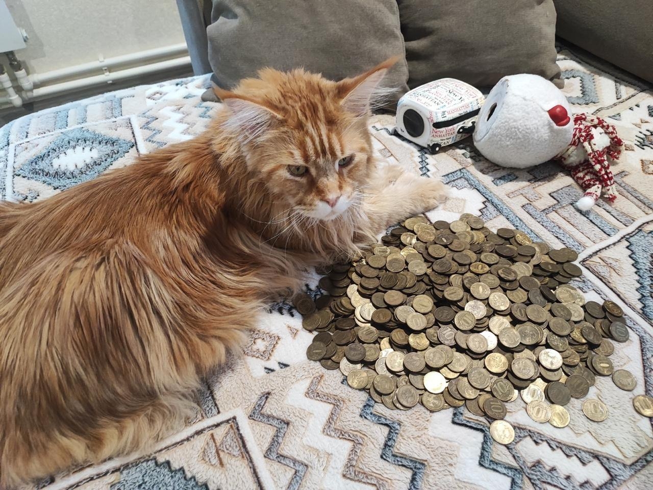 Тверичане сдали свыше 5,7 млн рублей монетами в банки в рамках всероссийской акции