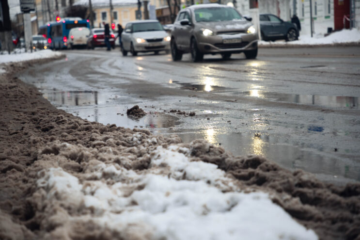 Ноябрь в Тверской области бьет температурные рекорды