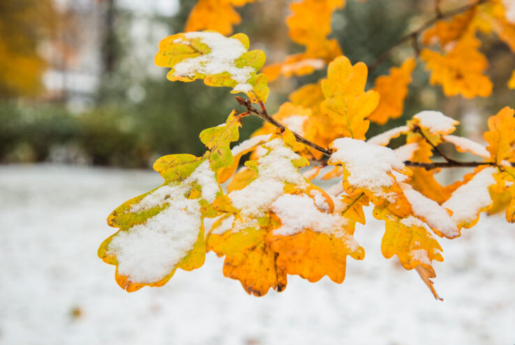 Тверь готовится к снежным выходным и гололедице Тверь готовится к снежным выходным и гололедице