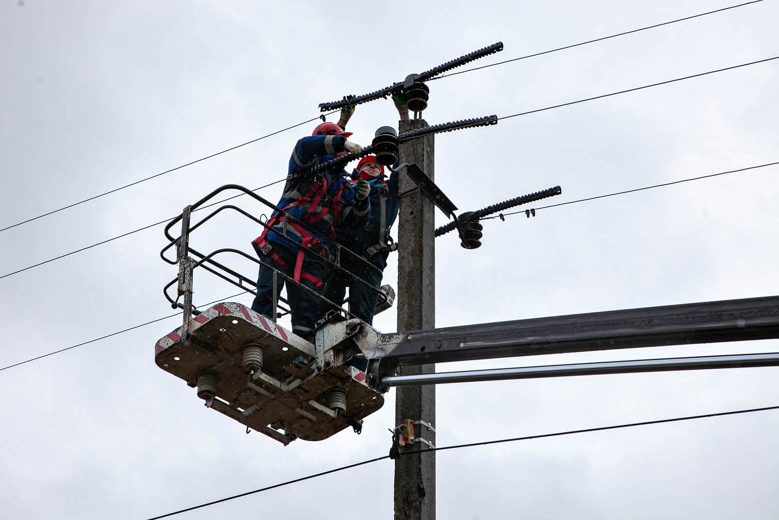 «Россети Центр» защищает птиц более 420 птицезащитных устройств установлено на линиях электропередачи Тверского региона