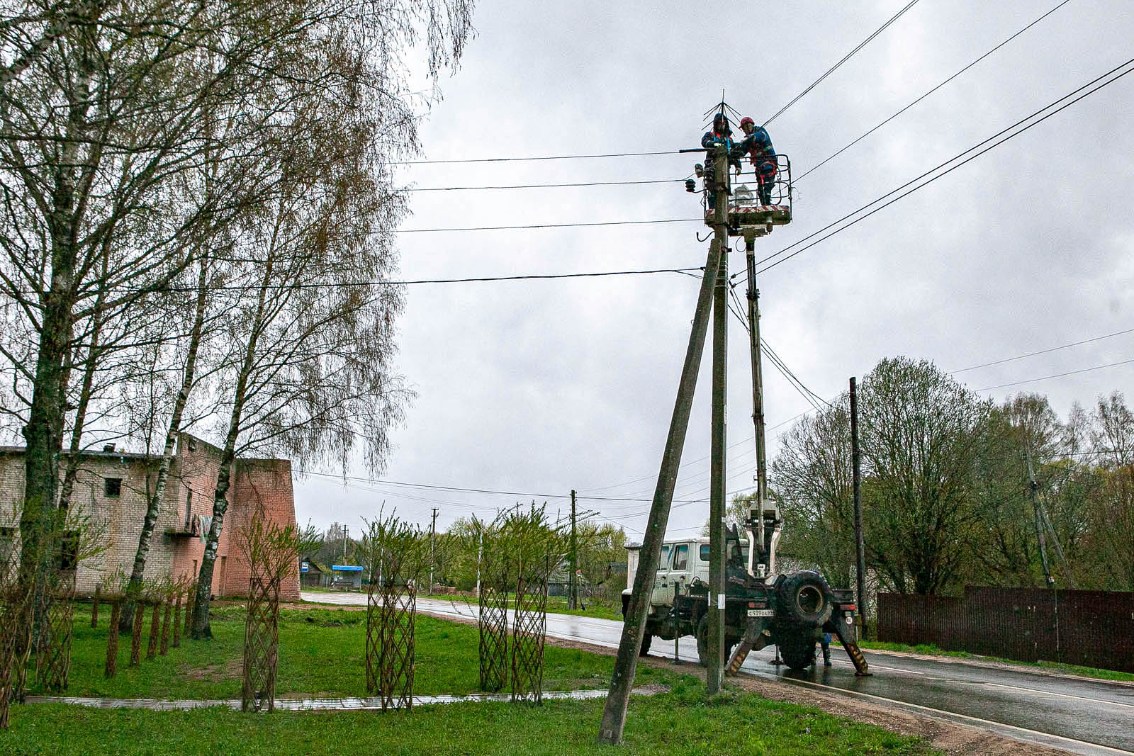 «Россети Центр» защищает птиц более 420 птицезащитных устройств установлено на линиях электропередачи Тверского региона