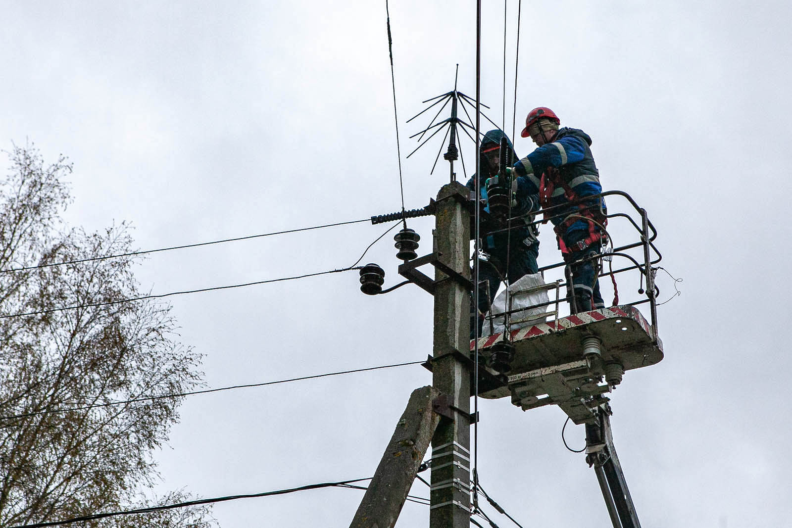 «Россети Центр» защищает птиц более 420 птицезащитных устройств установлено на линиях электропередачи Тверского региона