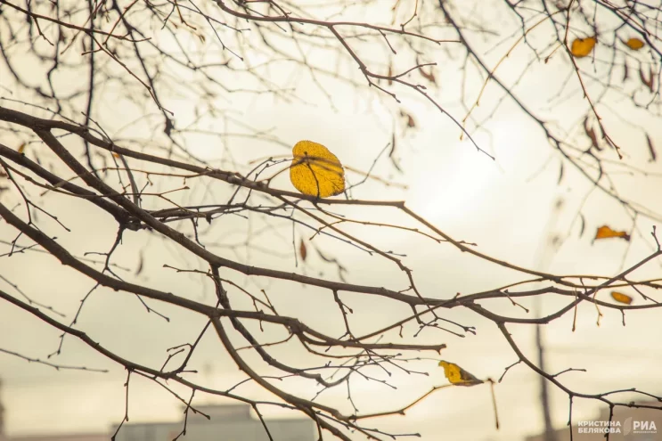Погода в Твери на завтра