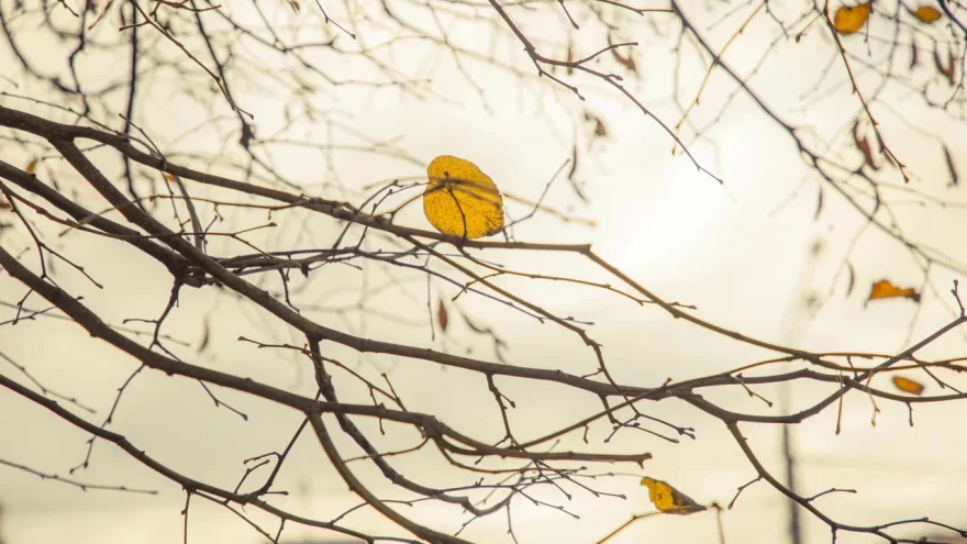 Погода в Твери на завтра