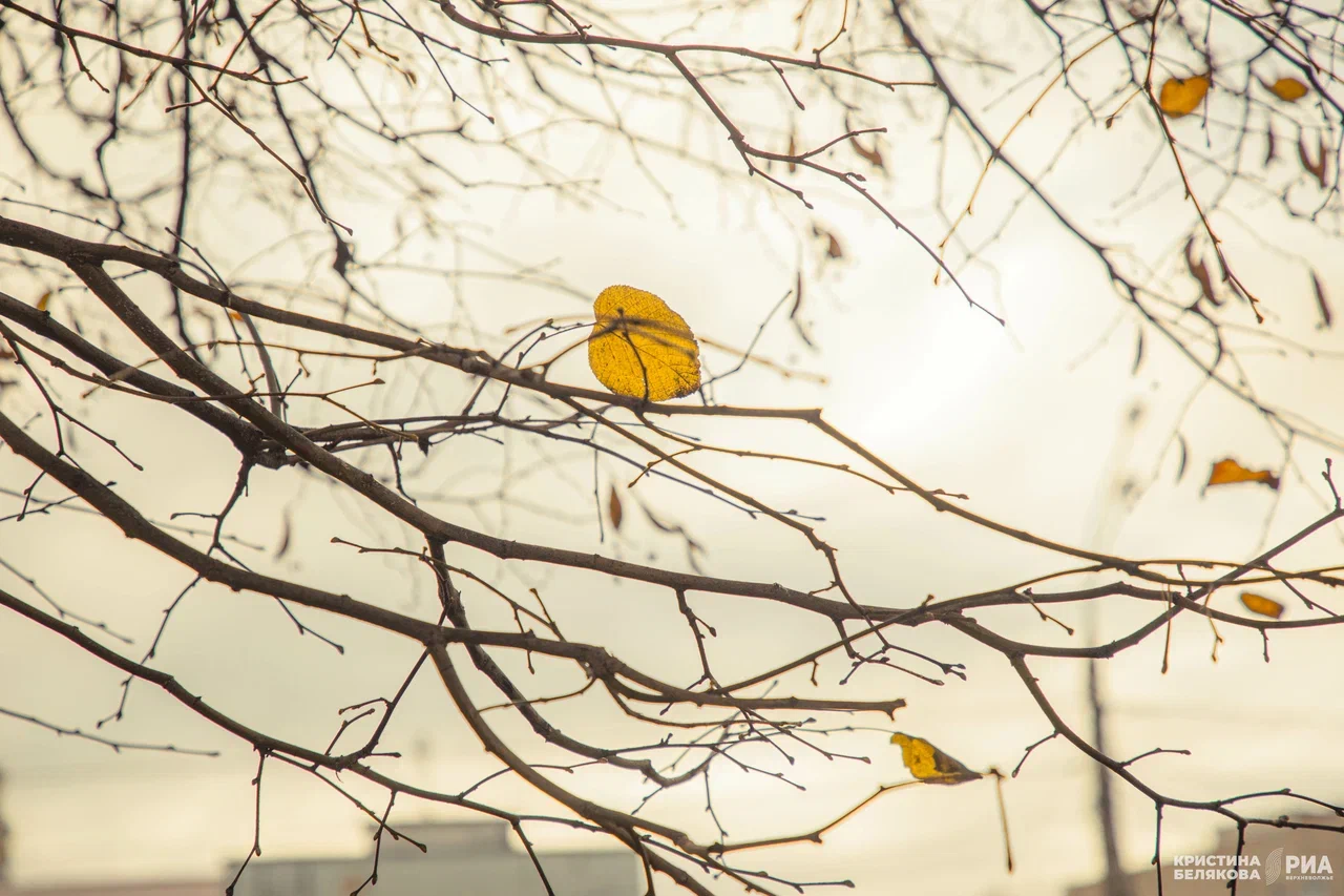 Погода в Твери на завтра Погода в Твери на завтра