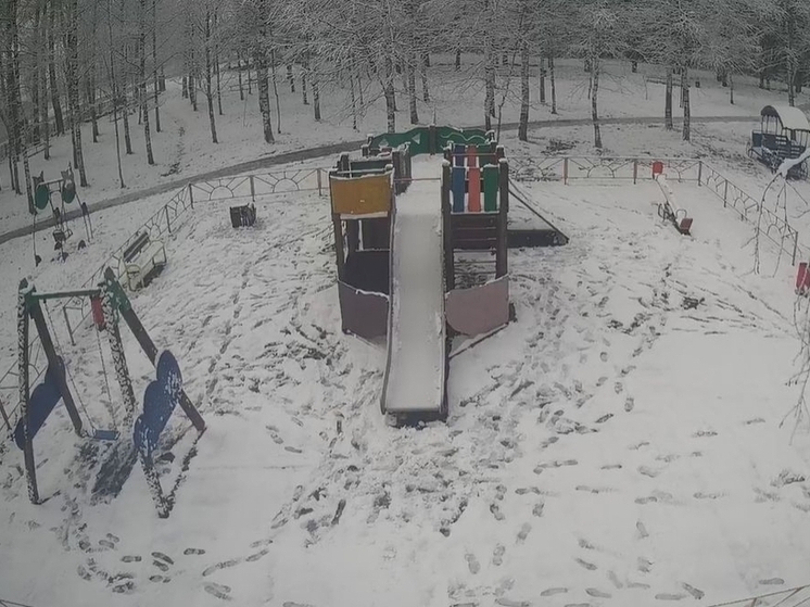 Самому старому парку в Оленино вновь выбирают название