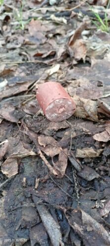 Догхантеры добрались до центра Твери Догхантеры добрались до центра Твери