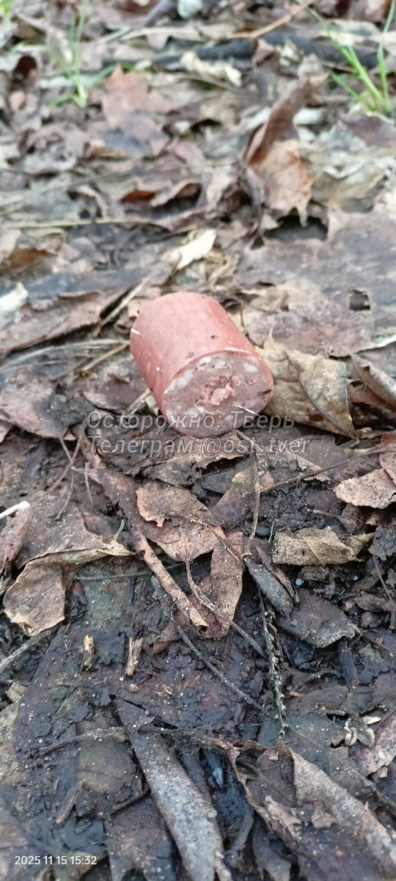 Догхантеры добрались до центра Твери