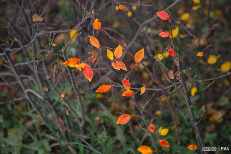Погода в Твери на завтра Погода в Твери на завтра