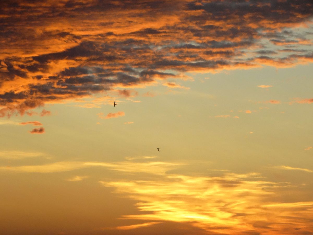 На Земле внезапно началась сильная магнитная буря