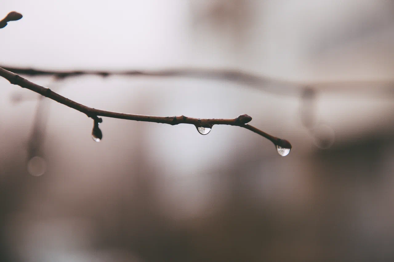 Синоптики разочаровали жителей Тверской области погодой в праздничные дни