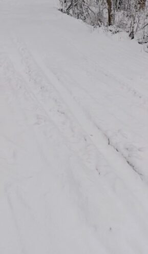 В Тверской области автомобилисты испортили лыжную трассу В Тверской области автомобилисты испортили лыжную трассу