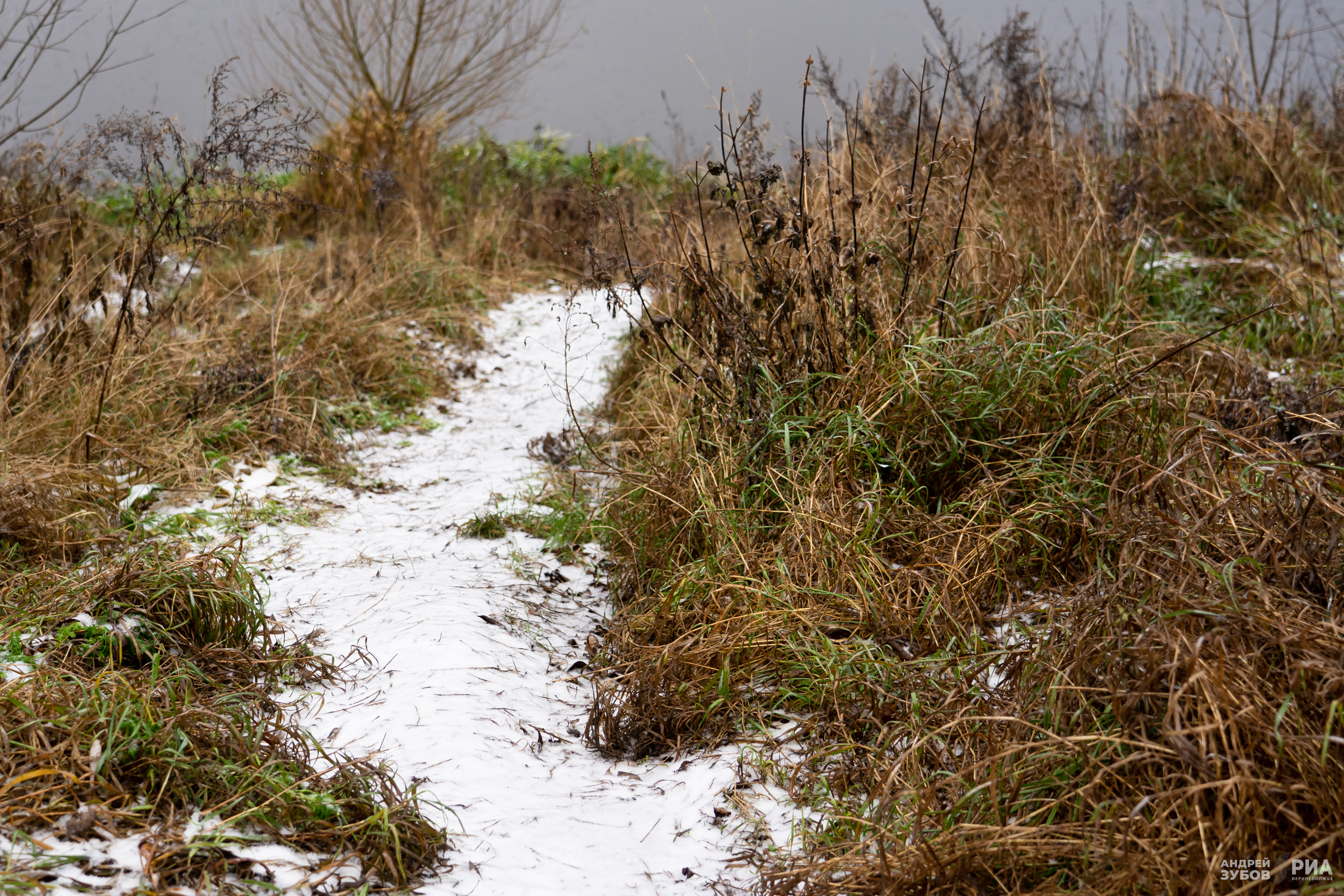 Погода в Твери на завтра