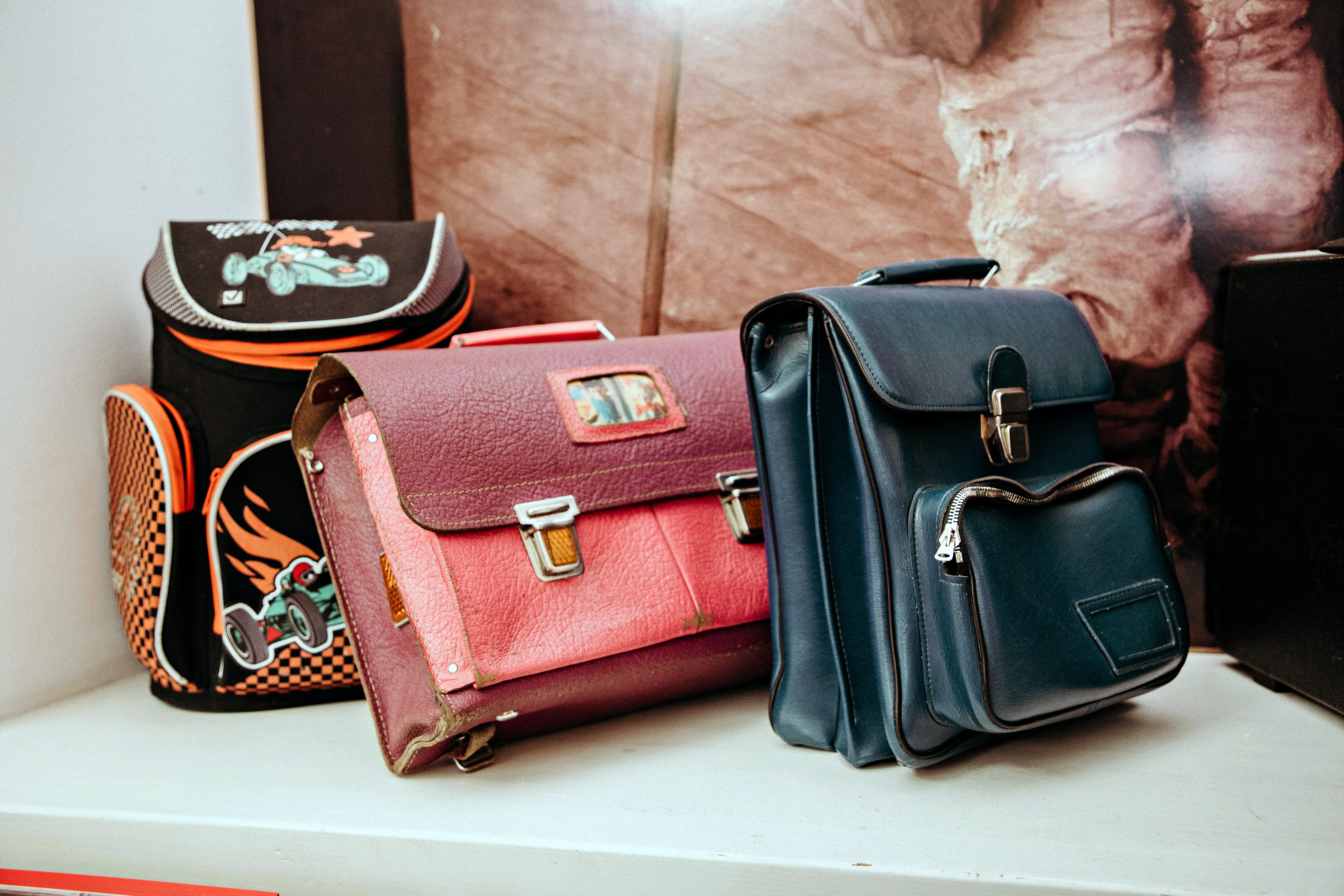 Школьники в Андреаполе узнали, "кто такой ветеринар"