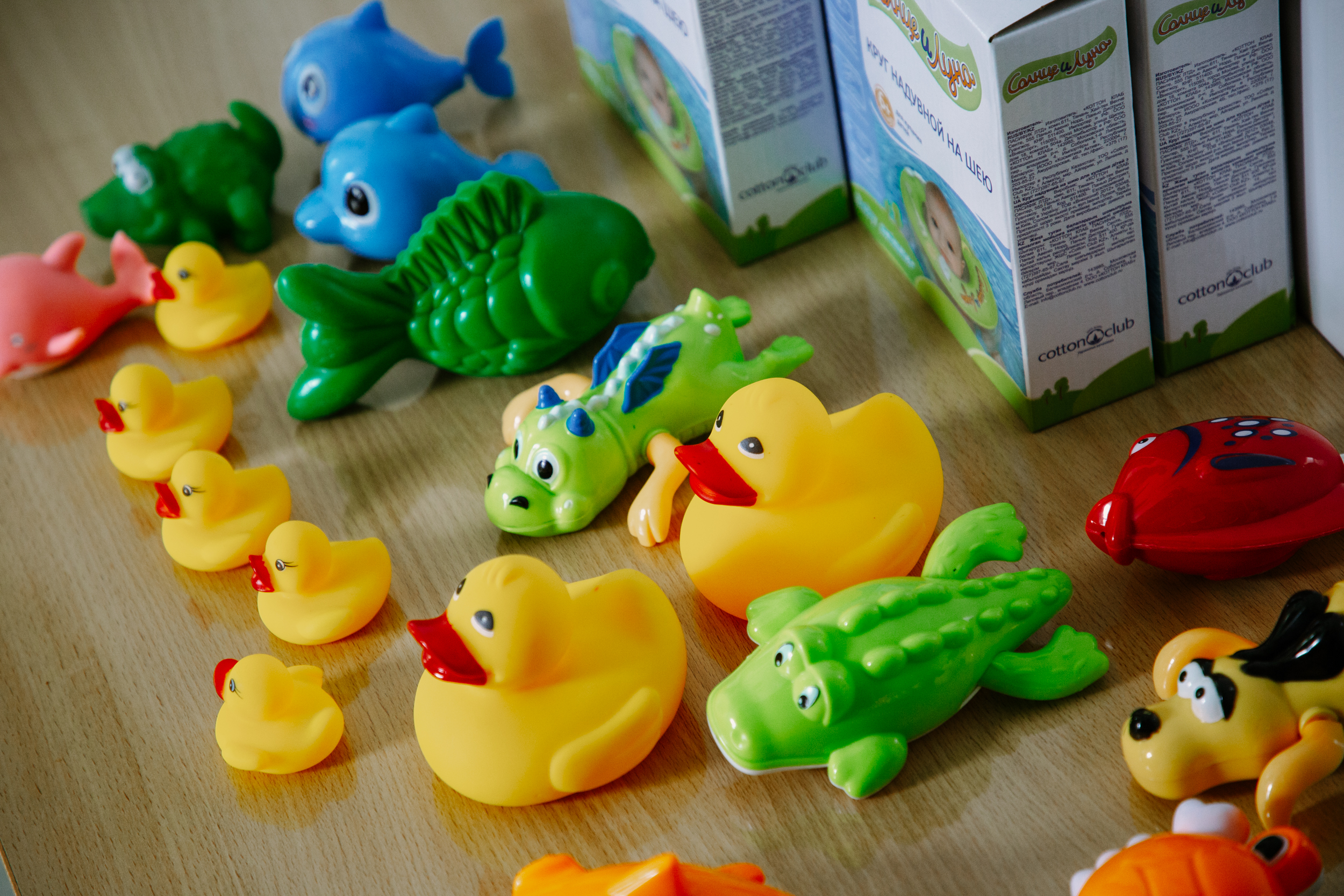 В Осташкове отметили "Синичкин день"