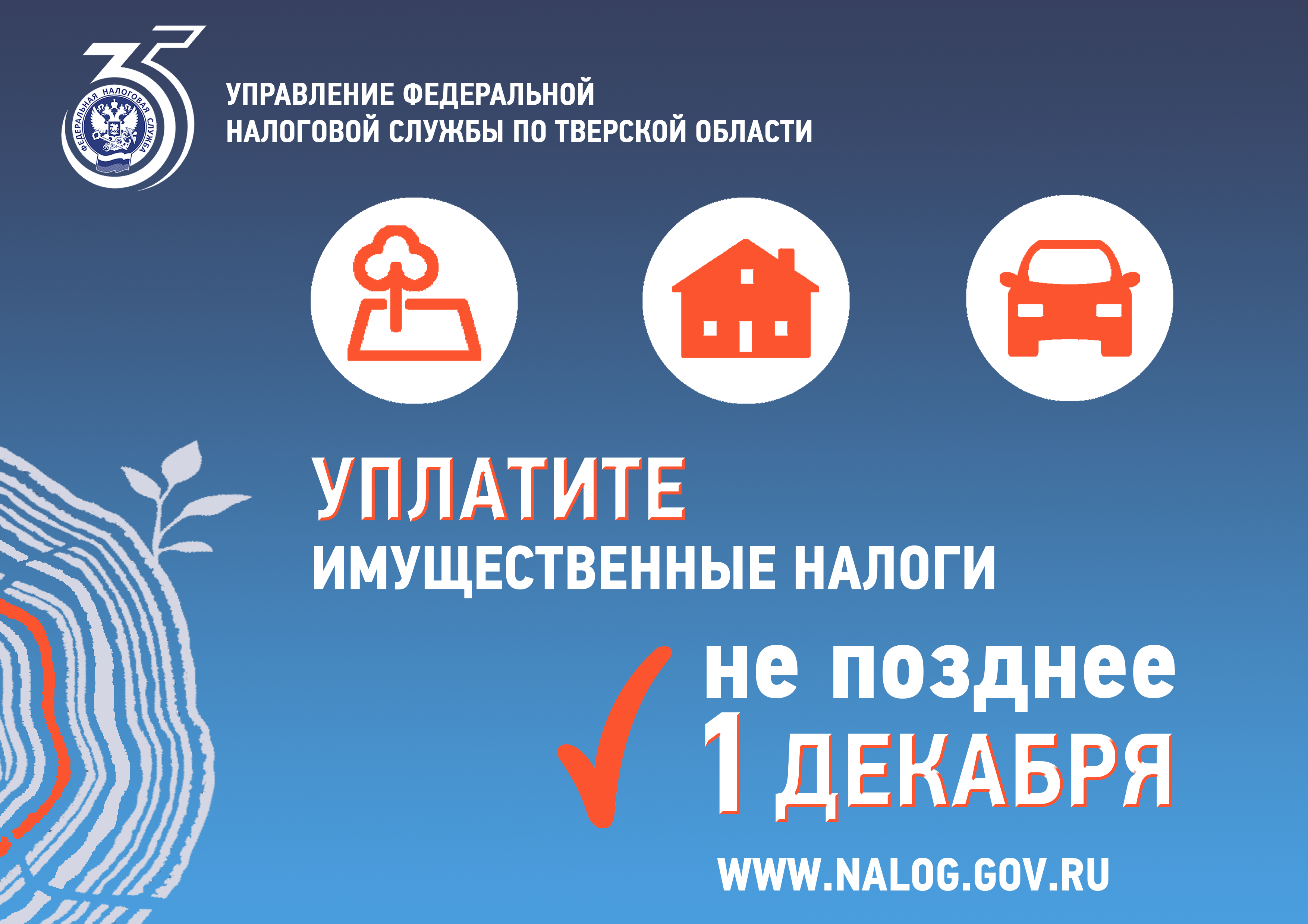 1 декабря — последний день для уплаты имущественных налогов в Твери