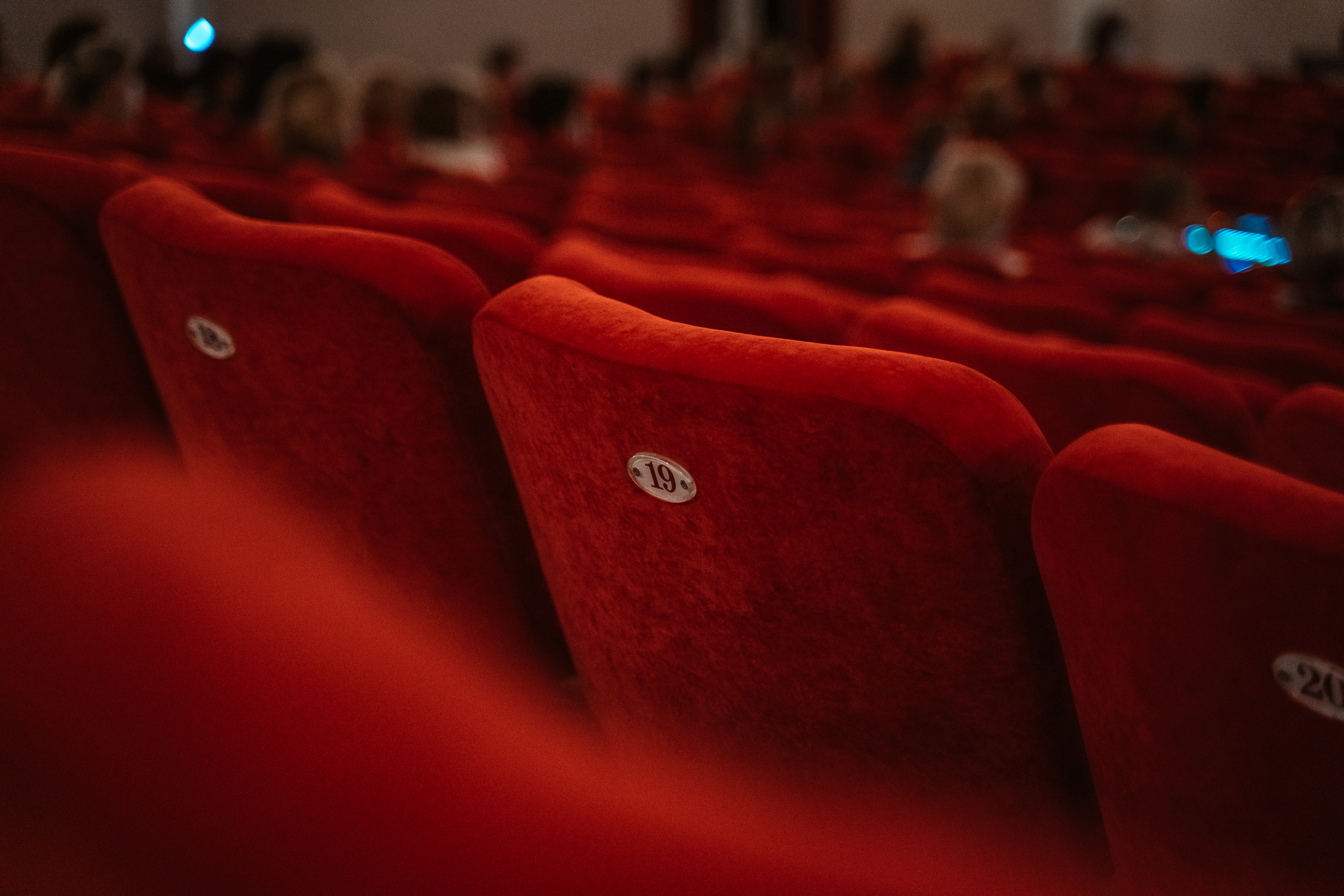 Детсадовцы Осташкова посетили кинотеатр Детсадовцы Осташкова посетили кинотеатр