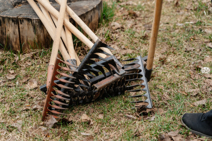 Школьники в Тверской области навели порядок на мемориале Школьники в Тверской области навели порядок на мемориале