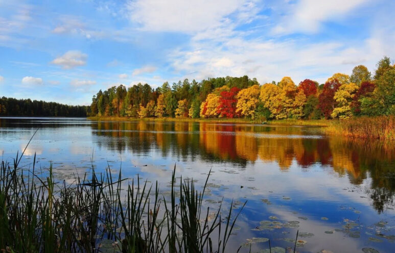 фотоснимок