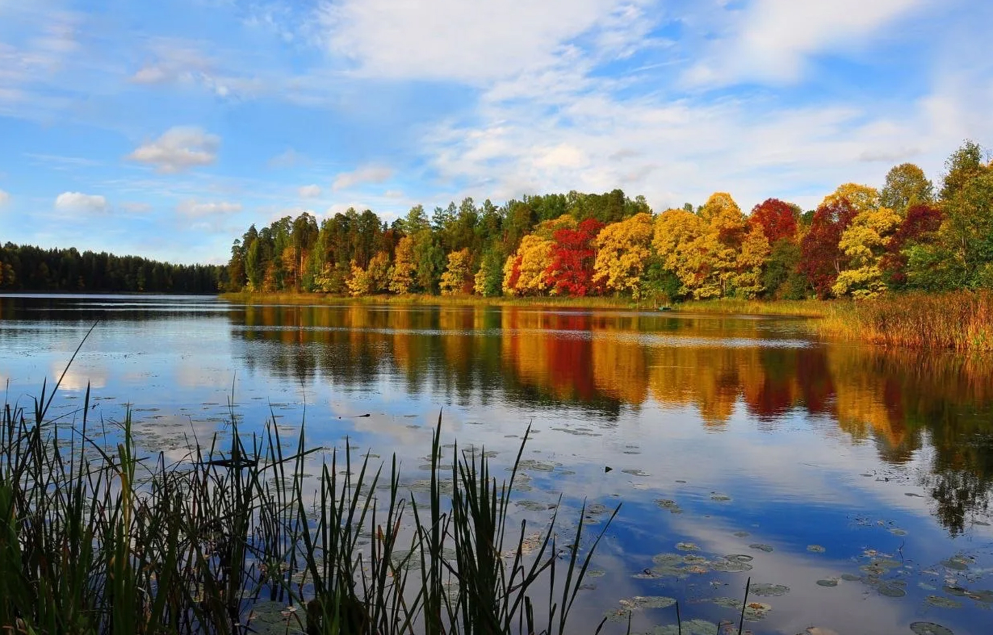 Фотоснимок озера в Тверской области стал лучшим на всероссийском конкурсе фотоснимок