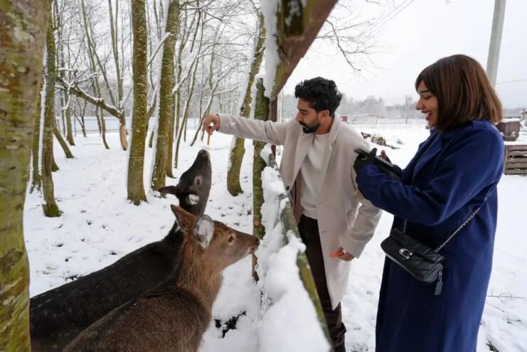 Туристы из Персидского залива посетили Тверскую область