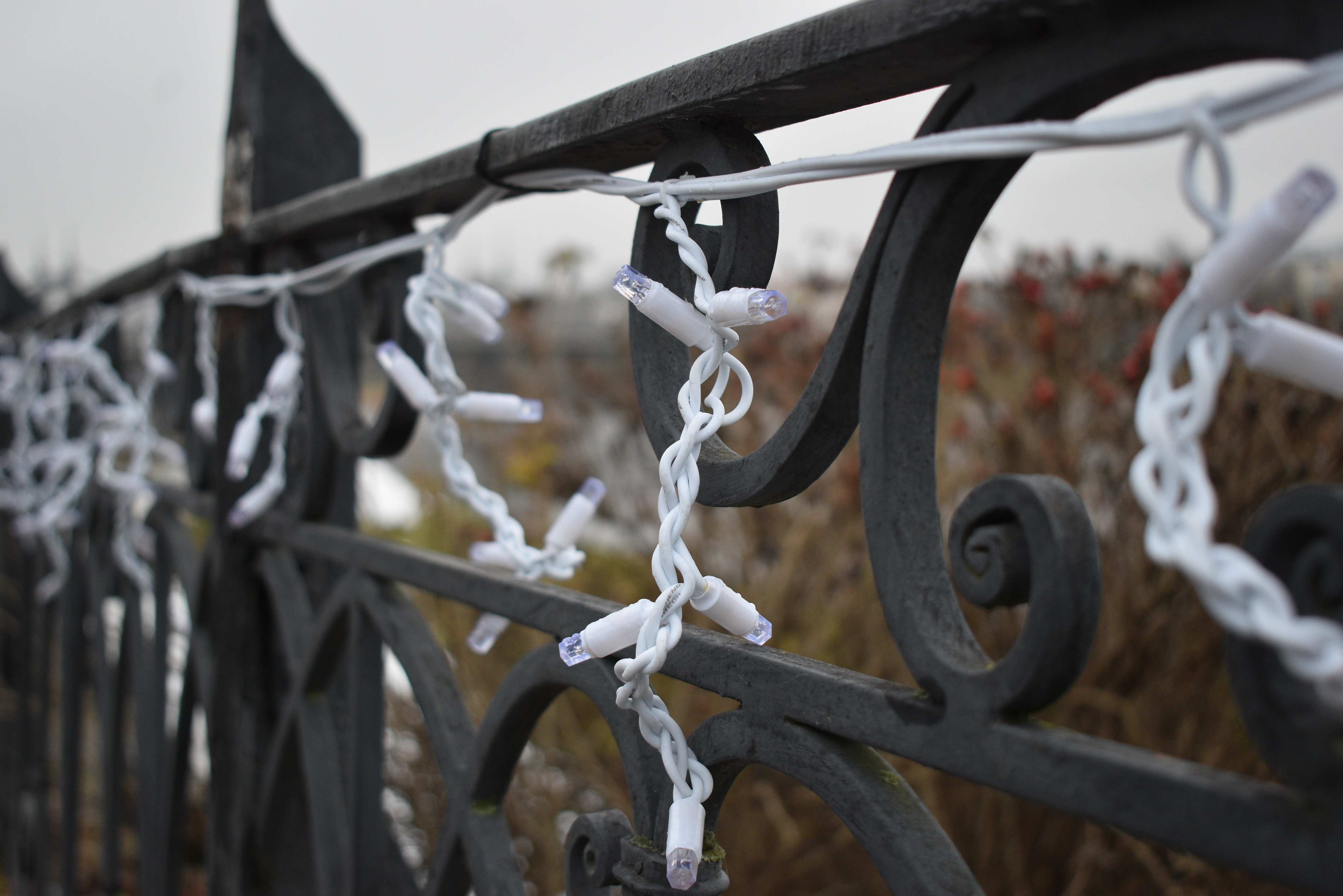 В Твери стартовали работы по созданию новогодней сказки