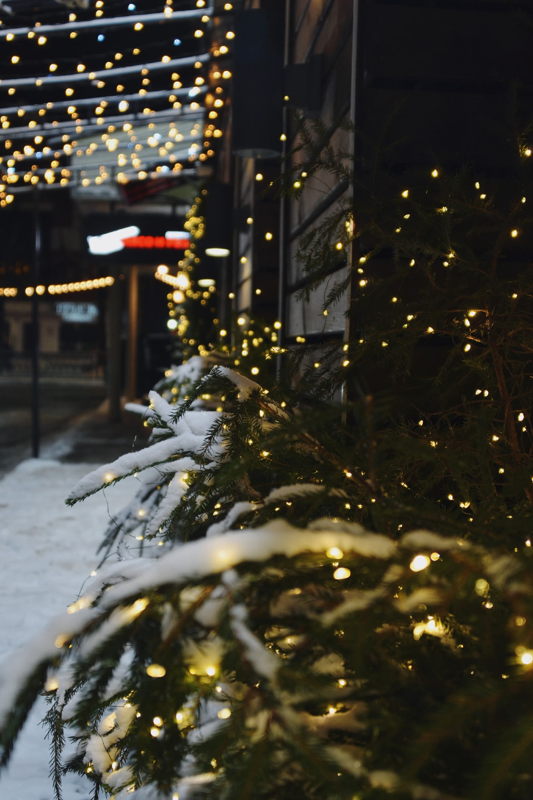 Каникулы по карману: Россияне настроены на экономию