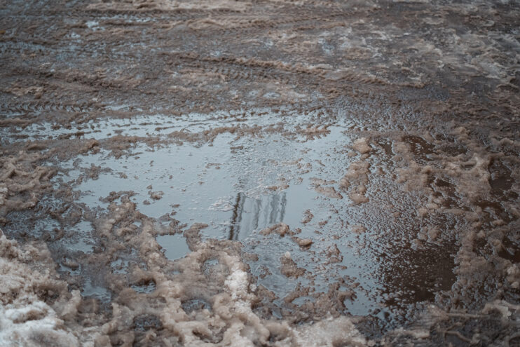 Декабрь в Тверской области обещает быть аномально тёплым