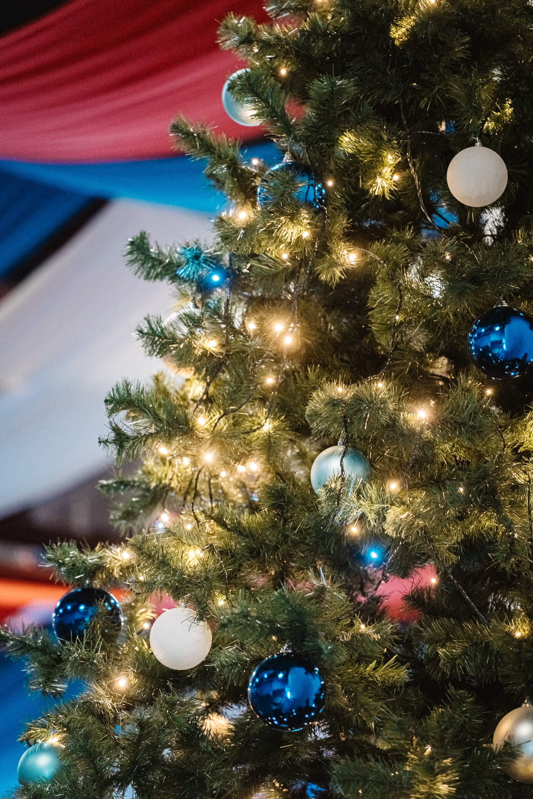 Битва новогодних салатов 2026: "Оливье" вырвался в лидеры по цене