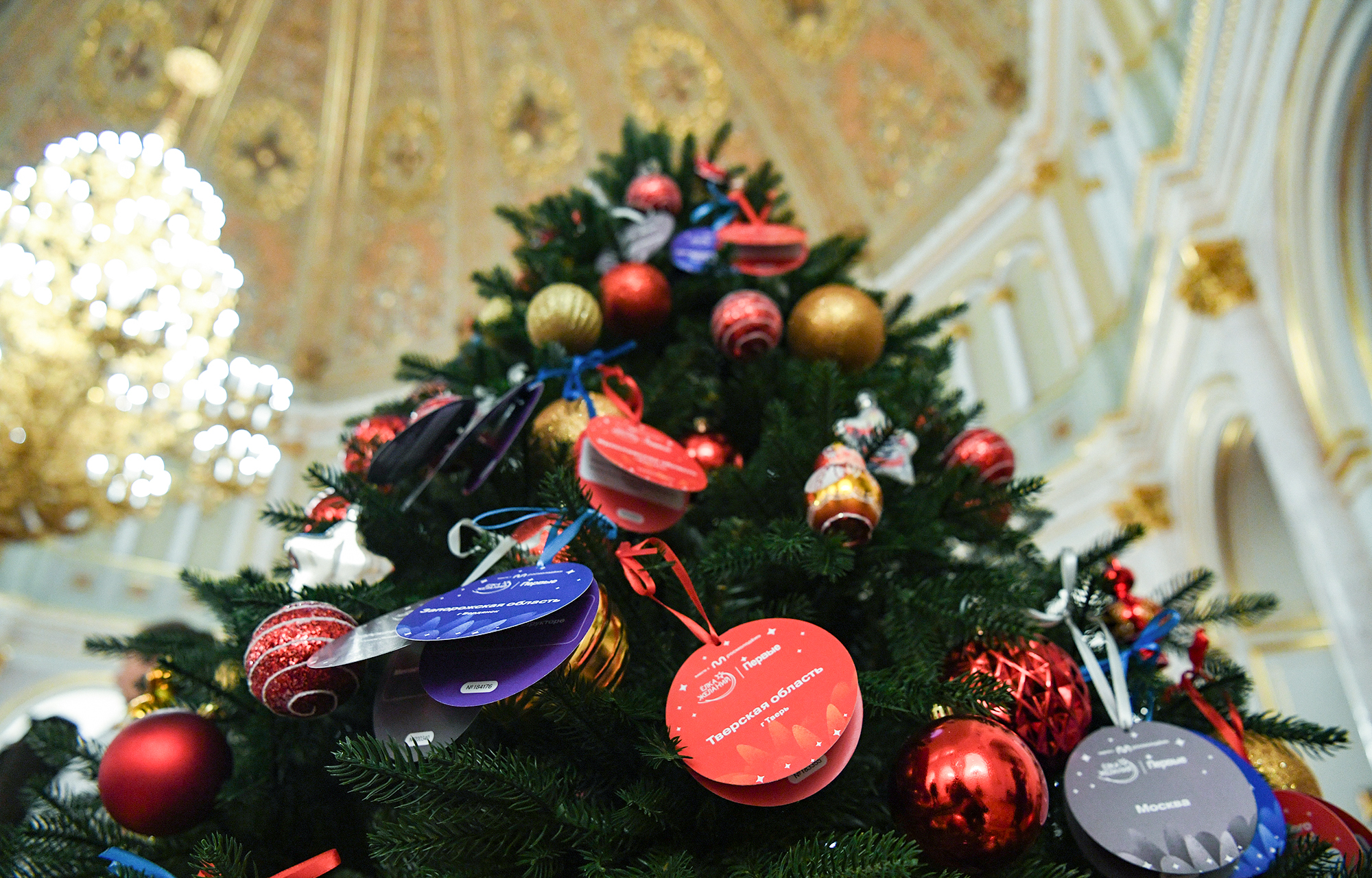 Виталий Королев исполнит новогодние мечты юных жителей Верхневолжья и Бердянска