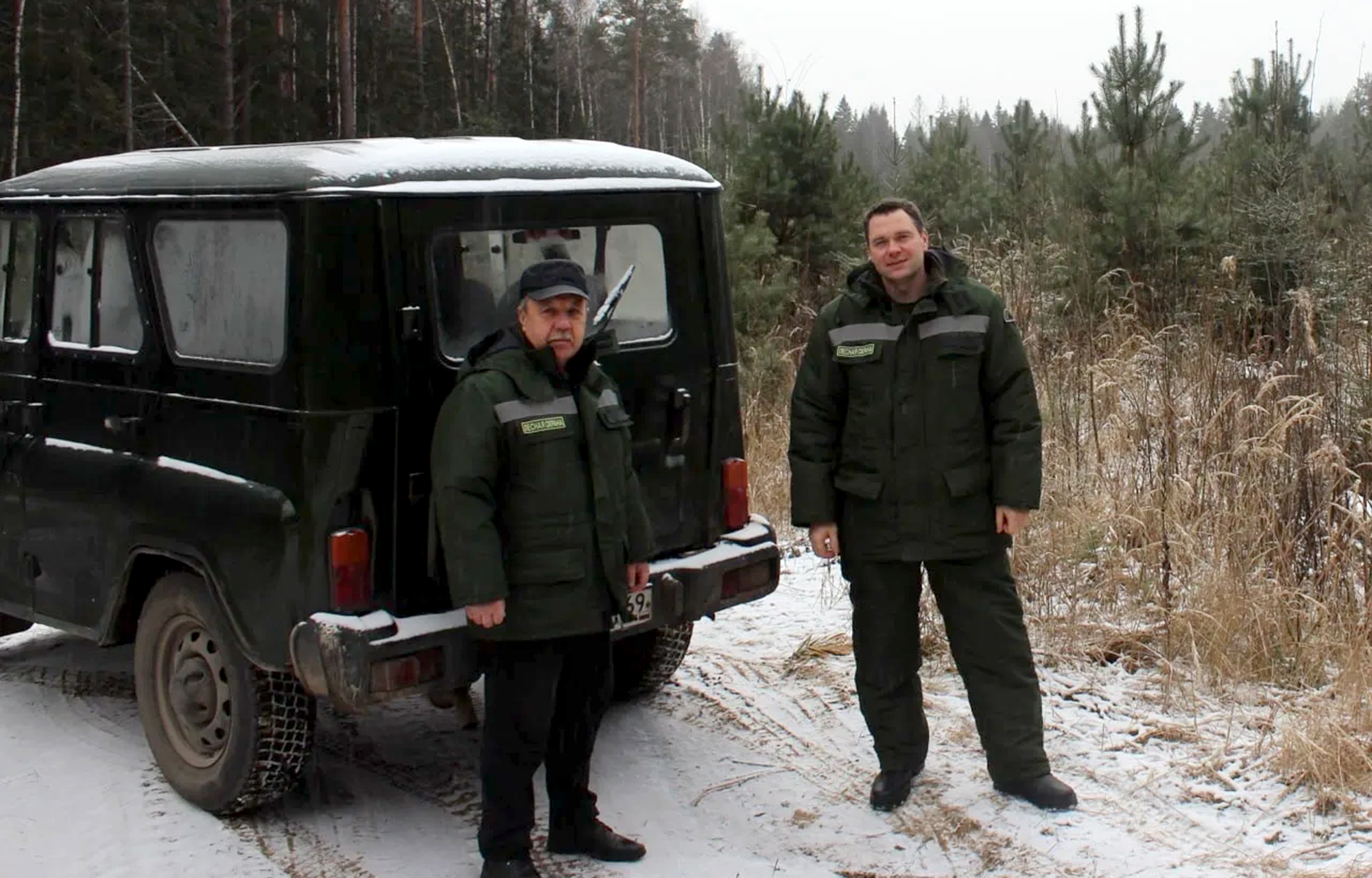 Ёлки Верхневолжья под усиленной охраной