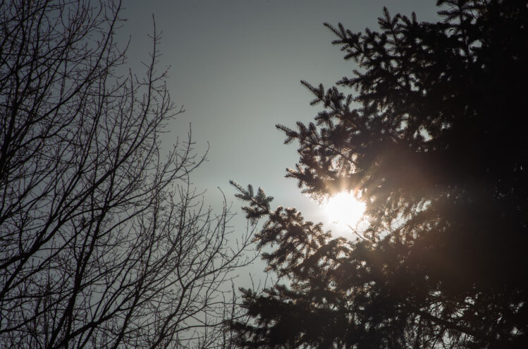 На Солнце произошла одна из самых сильных вспышек года