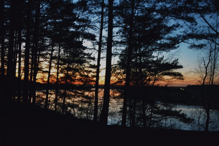 Погодные качели: В Тверскую область идет резкое потепление и дожди Погодные качели: В Тверскую область идет резкое потепление и дожди