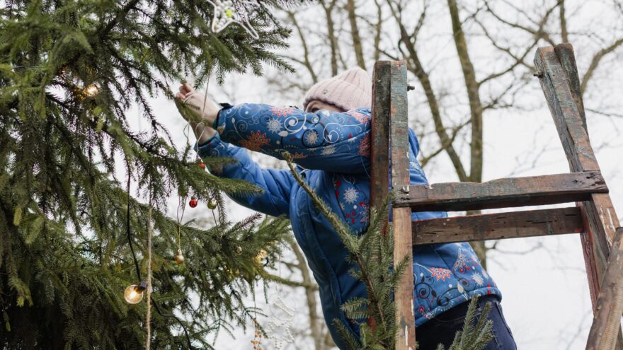 В Осташкове нарядили елку украшениями ручной работы