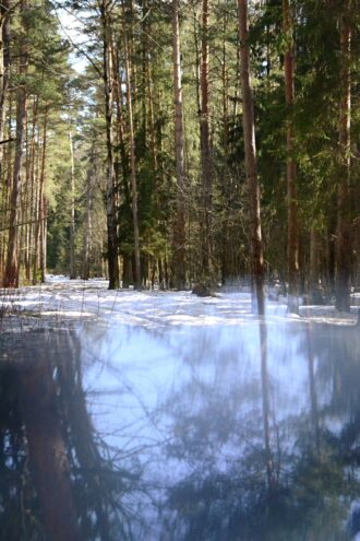 В Тверской области ожидается резкое похолодание и гололедица