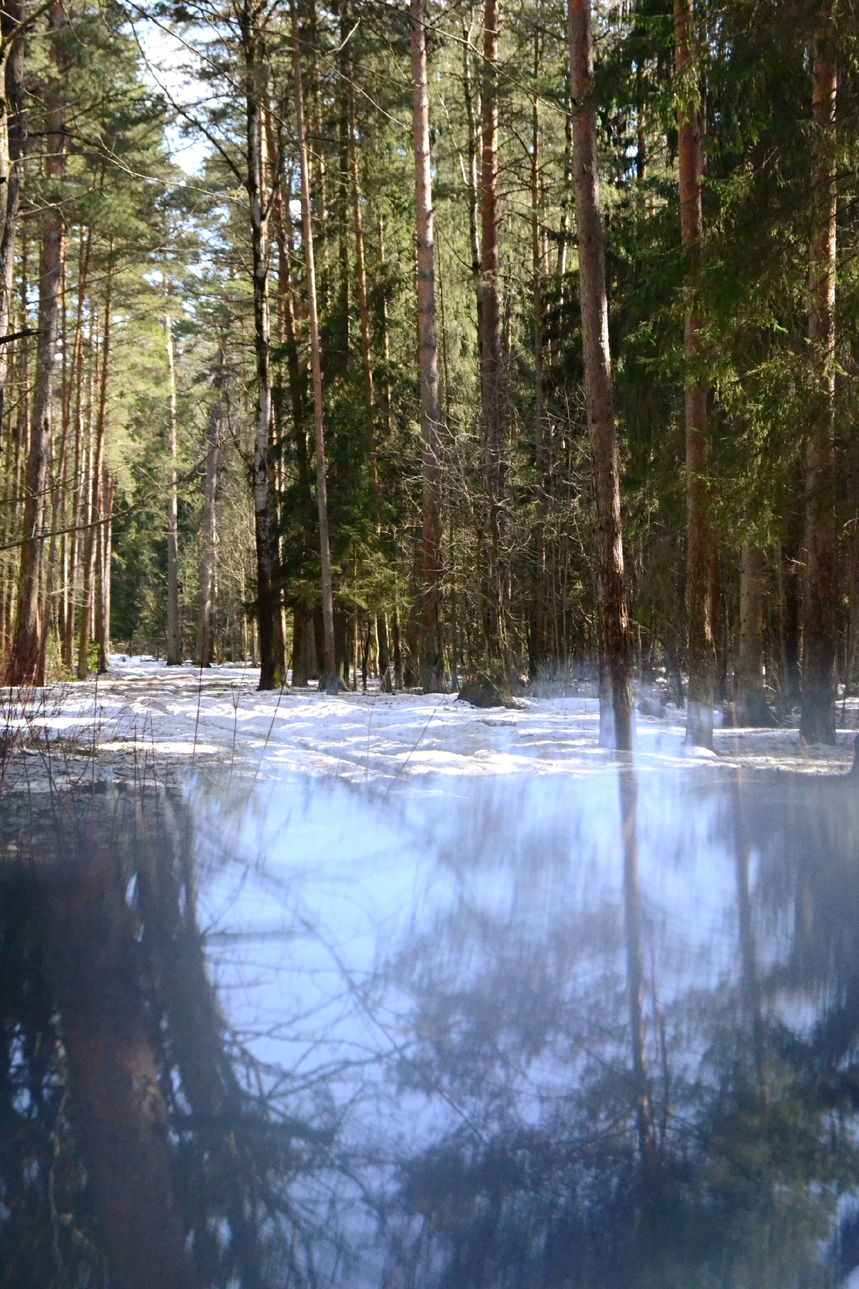 В Тверской области ожидается резкое похолодание и гололедица