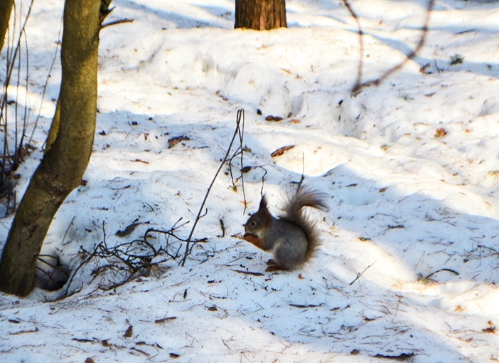 Погодный контраст: после тепла в Тверь придет настоящая зима