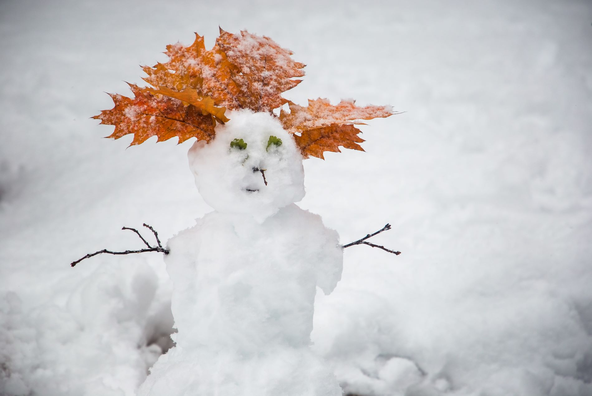 Гадания, горы и старые валенки: как правильно встретить Катерину Санницу Гадания, горы и старые валенки: как правильно встретить Катерину Санницу