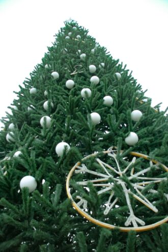 Главная новогодняя ель в Тверской области вызвала неоднозначную реакцию горожан Главная новогодняя ель в Тверской области вызвала неоднозначную реакцию горожан