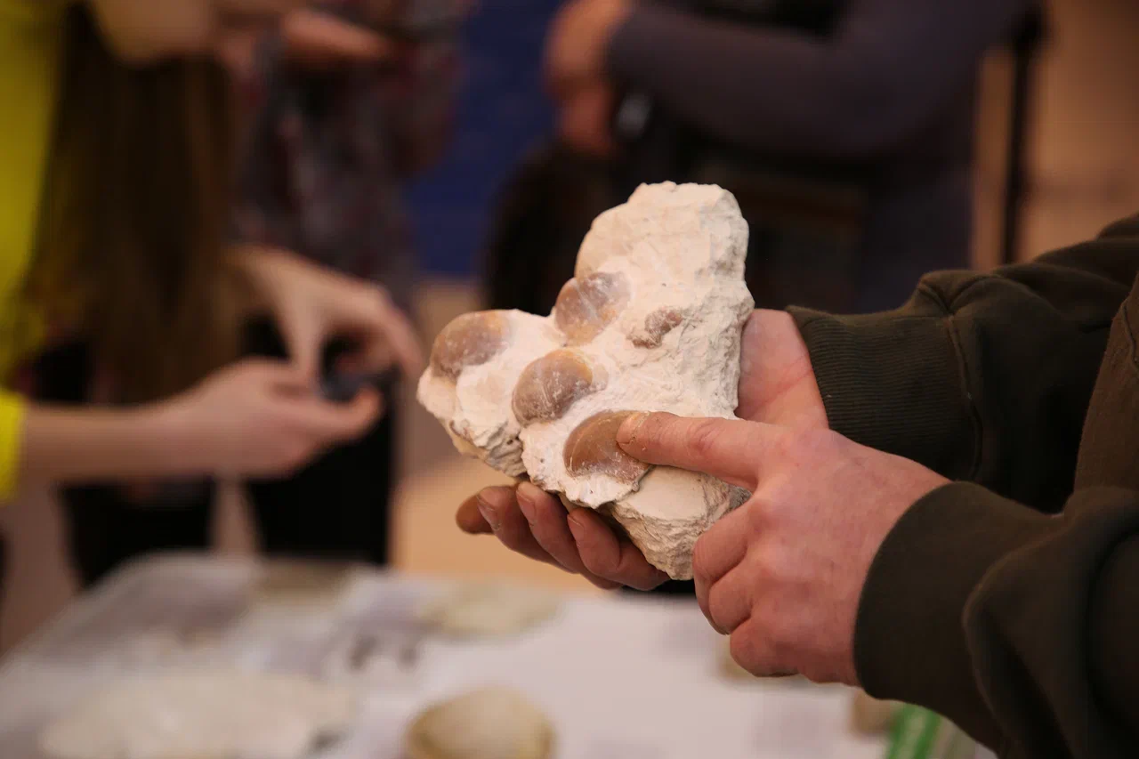 Изнурительный труд и скудный паёк: исследование рассказало о суровых буднях древних тверичей