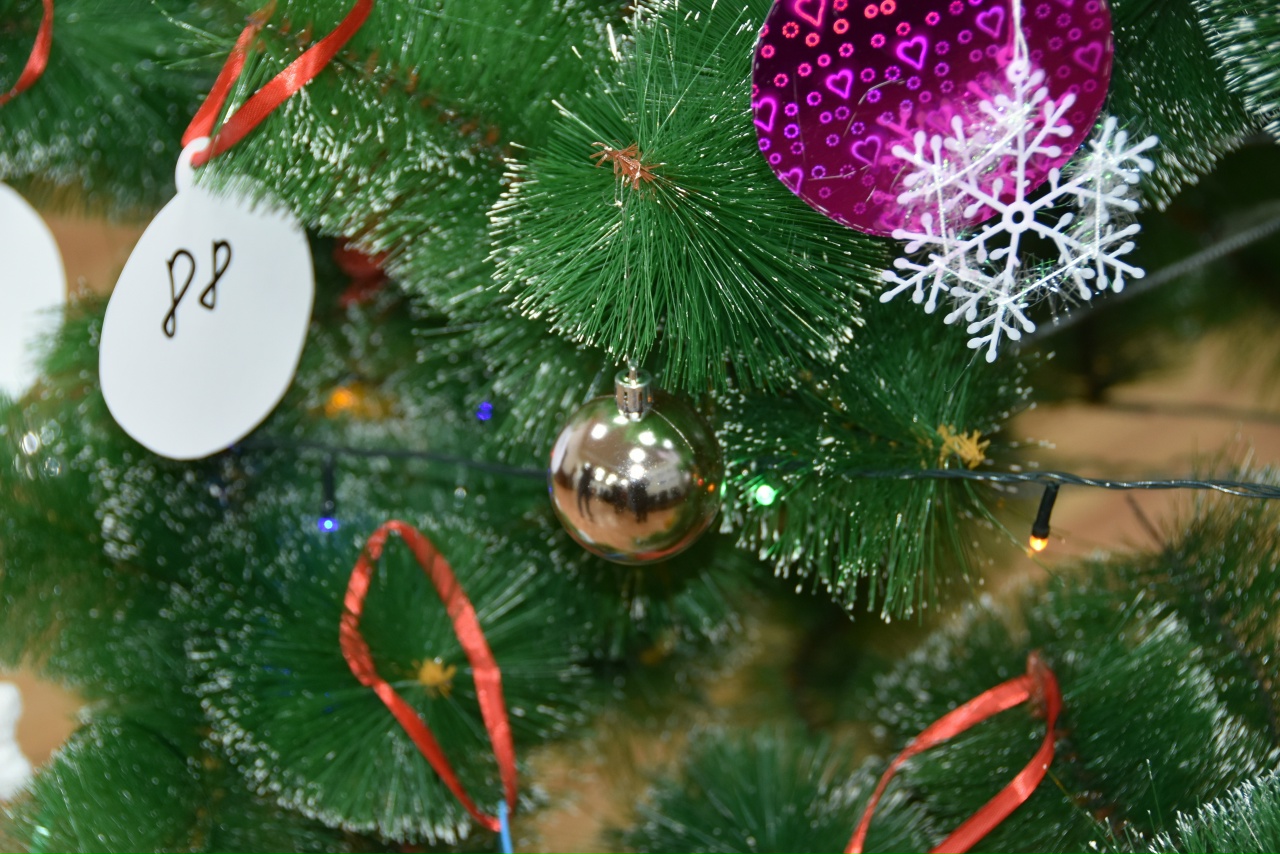 В Вышневолоцком округе стартовала «Ёлка желаний»