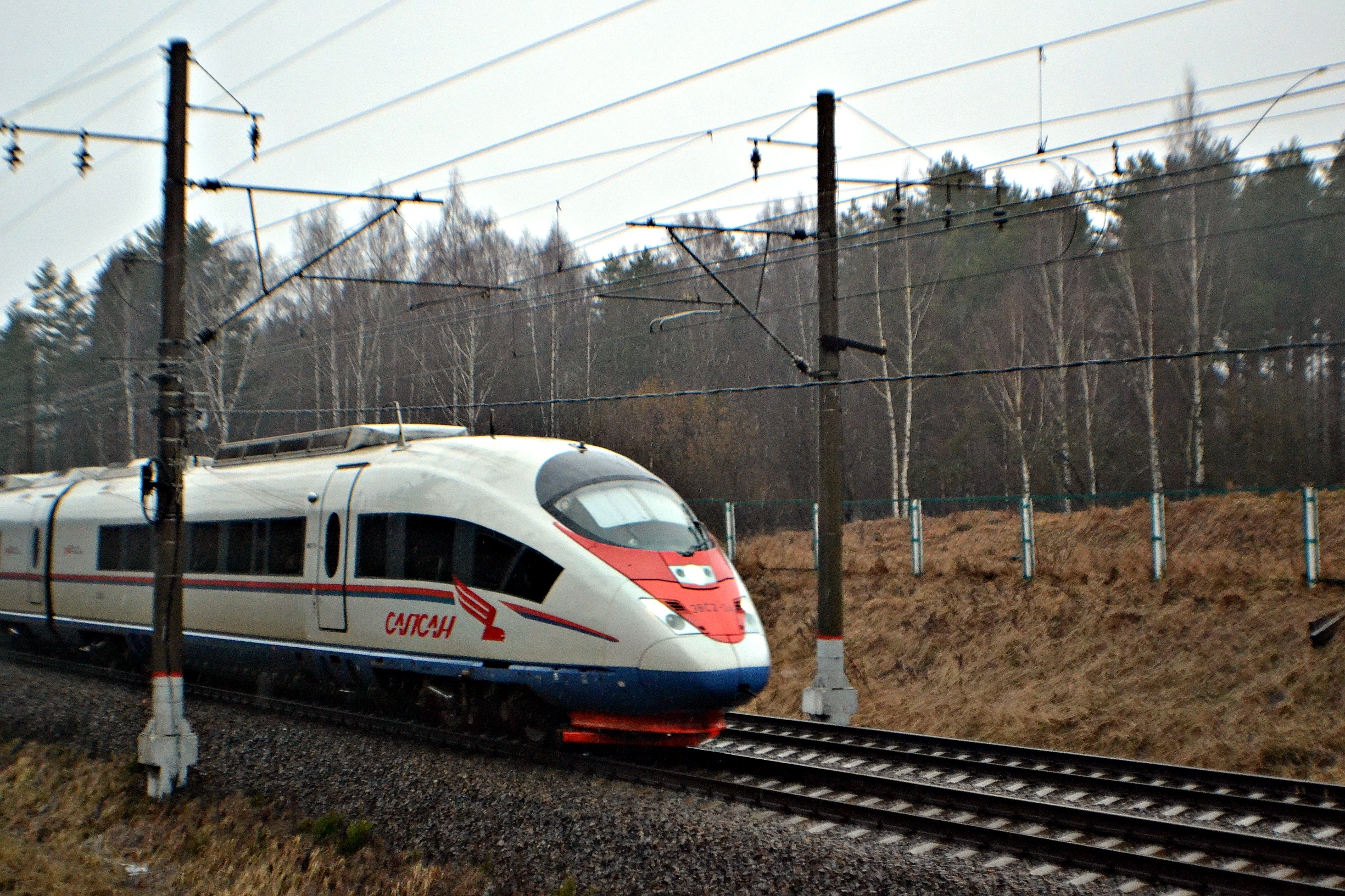 Пассажирам "Сапсанов" сообщают об изменениях в декабрьском расписании Пассажирам "Сапсанов" сообщают об изменениях в декабрьском расписании