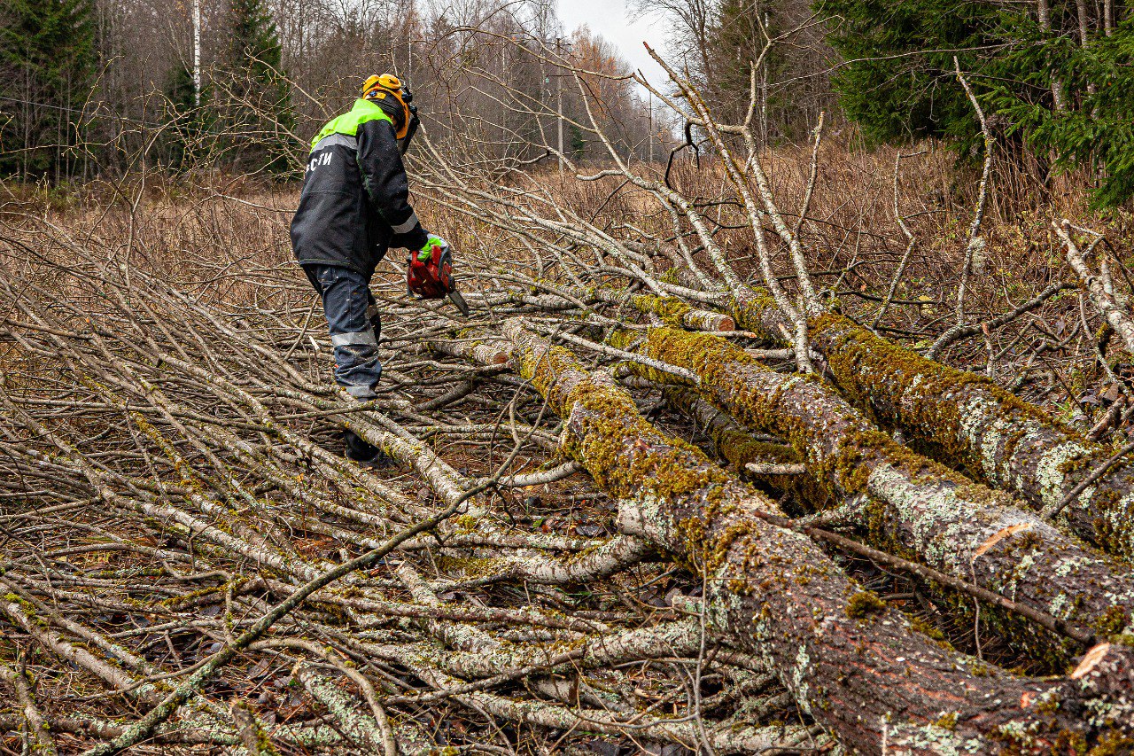 «Россети Центр» повысили надежность электроснабжения более 12 тысяч жителей Западнодвинского округа Тверской области